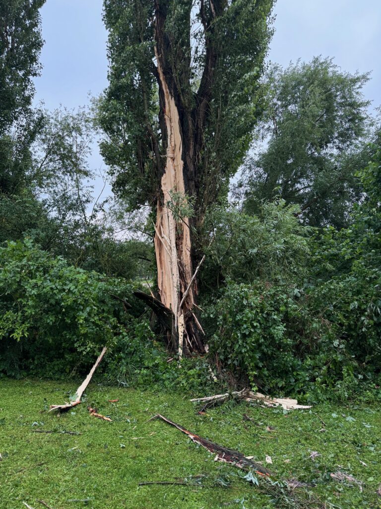 Feuerwehr Babenhausen/Hessen